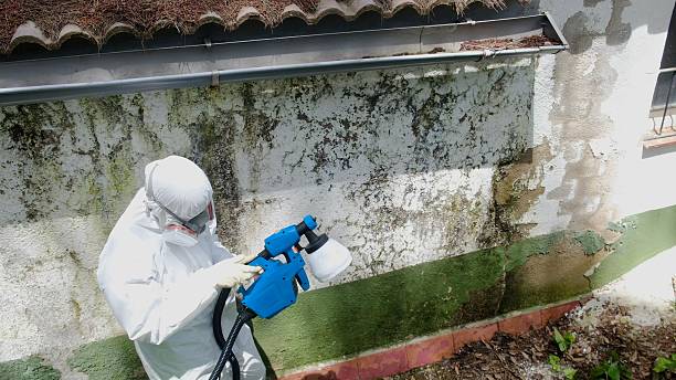 Top rated local Commercial Mold Remediation specialists in Berthoud, CO